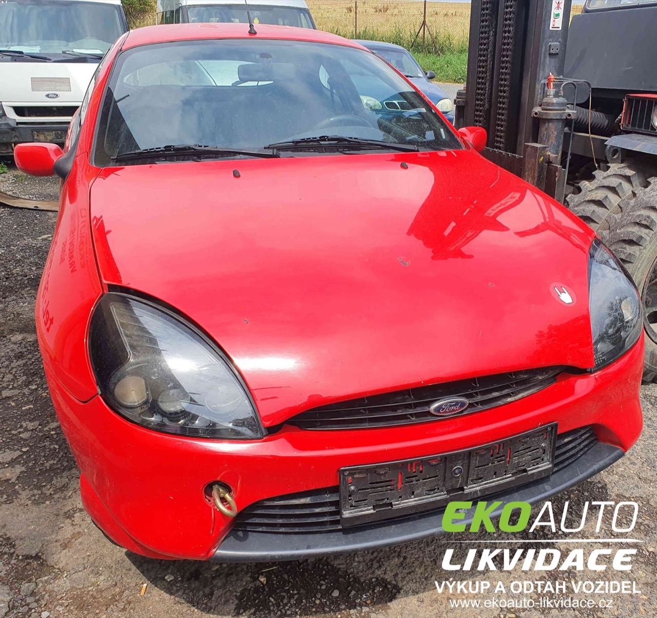  Ford Puma