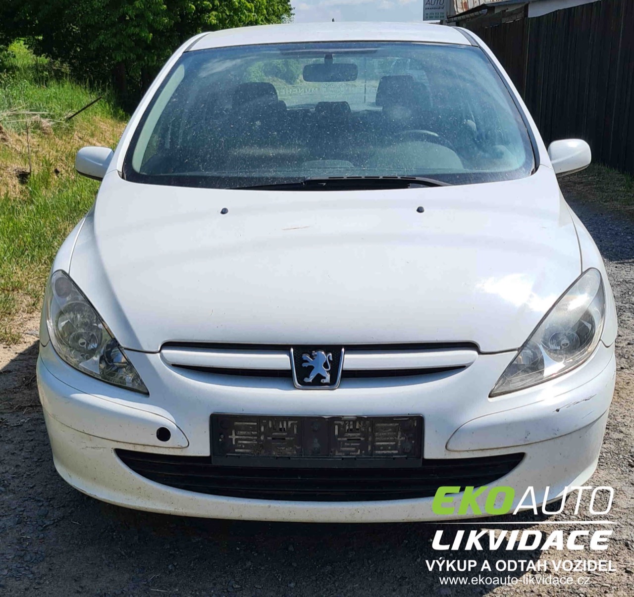  Peugeot 307