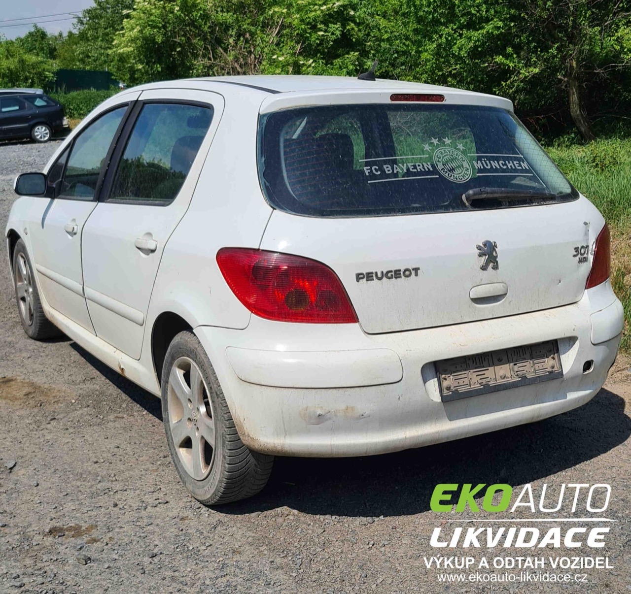  Peugeot 307 Obrázek 2