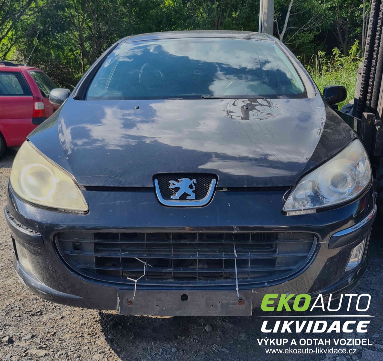  Peugeot 407